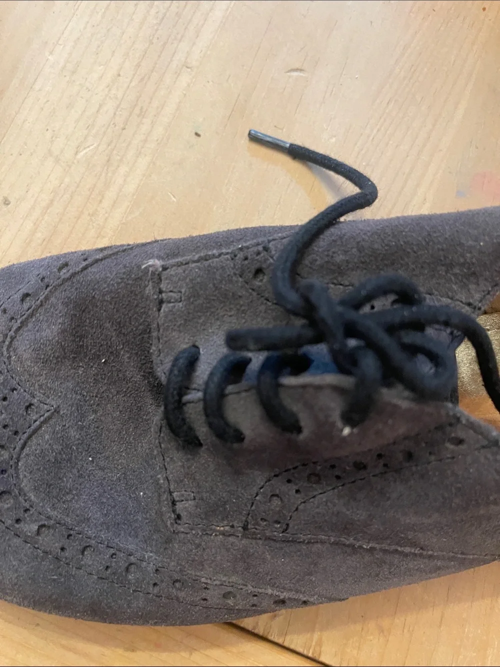 Dolce Vita Men's Gray Suede Wingtip Derby Oxfords